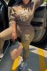 Khaki Casual Print Letter O Neck Long Sleeve Two Pieces