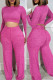 Rose Red Casual Solid Basic O Neck Long Sleeve Two Pieces