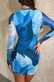 Blue Casual Print Basic O Neck Long Sleeve Dresses