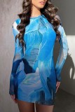 Blue Casual Print Basic O Neck Long Sleeve Dresses
