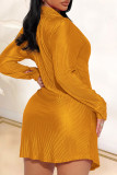 Red Casual Solid Patchwork Buckle Shirt Collar Shirt Dress Dresses