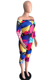colour Casual Print Chemical fiber blend Long Sleeve one word collar Rompers