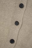 Blue Casual Solid Buttons Basic Hooded Collar Outerwear