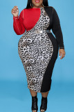 Coffee Casual Print Leopard Patchwork With Belt O Neck Long Sleeve Plus Size Dresses