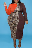 Black Casual Print Leopard Patchwork With Belt O Neck Long Sleeve Plus Size Dresses