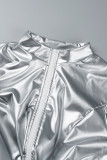 Silver Casual Solid Zipper Mandarin Collar Long Sleeve Two Pieces