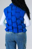 Blue Casual Solid Patchwork Zipper Mandarin Collar Outerwear