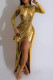 Gold Sexy Solid Slit Turtleneck Long Dress Dresses