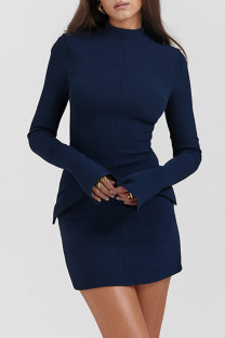 Blue Casual Solid Basic Half A Turtleneck Long Sleeve Dresses