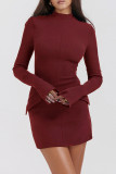 Brown Casual Solid Basic Half A Turtleneck Long Sleeve Dresses