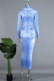Blue Casual Print Basic Half A Turtleneck Long Sleeve Dresses