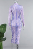 Purple Casual Solid Basic Turtleneck Long Sleeve Dresses