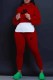 Burgundy Casual Print Letter Hooded Collar Long Sleeve Two Pieces