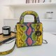 Yellow Street Animal Print Zipper Bags