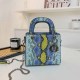 Turquoise Street Animal Print Zipper Bags