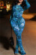 Blue Casual Print Basic O Neck Long Sleeve Two Pieces
