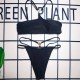 Black Sexy Simplicity Figure Patchwork Swimwears