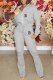 Grey Casual Print Letter Zipper Collar Long Sleeve Two Pieces