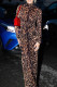 Brown Casual Leopard Patchwork Half A Turtleneck Printed Dress Dresses