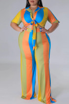 Blue Casual Color Block Bandage Patchwork Turndown Collar Plus Size Two Pieces