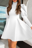 White Elegant Solid Patchwork Turtleneck A Line Dresses