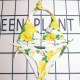 Multicolor Sexy Vacation Print Bandage Swimwears