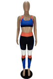 Blue Casual Sportswear Patchwork Vests Pants O Neck Sleeveless Two Pieces