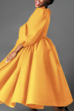 Yellow Elegant Solid Patchwork With Belt Half A Turtleneck A Line Dresses