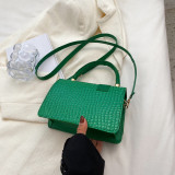 Green Simplicity Animal Print Patchwork Asymmetrical Bags