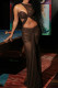 Brown Sexy Solid Hollowed Out Patchwork See-through Mesh Asymmetrical Collar Long Dresses