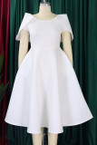 Red Elegant Solid Patchwork Zipper O Neck A Line Dresses