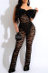 Black Sexy Solid Lace Patchwork See-through With Bow Strapless Sleeveless Two Pieces