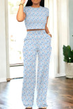 Light Blue Casual Print Patchwork O Neck Short Sleeve Two Pieces
