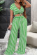Green Sweet Striped Patchwork Fold V Neck Short Sleeve Two Pieces
