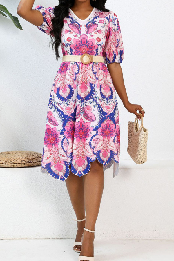 Pink Celebrities Print Patchwork With Belt Zipper V Neck A Line Dresses