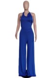 Black Sexy Solid Backless Cross Straps Slit O Neck Skinny Jumpsuits