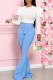 Light Blue Casual Solid Color Basic O Neck Long Sleeve Two Pieces
