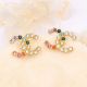 Colour Daily Rhinestone Decor Earrings