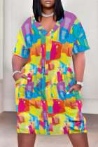 Colour Casual Geometric Print Letter Print Pocket Contrast V Neck Printed Plus Size Dresses