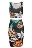 Black Celebrities Print Patchwork V Neck Sleeveless Two Pieces