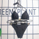 Black Sportswear Backless Strap Design Patchwork Swimwears
