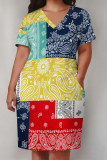 Multicolor Casual National Totem Print Pocket Contrast V Neck Printed Plus Size Dresses