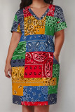 Multicolor Casual National Totem Print Pocket Contrast V Neck Printed Plus Size Dresses