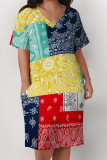 Multicolor Casual National Totem Print Pocket Contrast V Neck Printed Plus Size Dresses