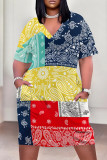 Multicolor Casual National Totem Print Pocket Contrast V Neck Printed Plus Size Dresses