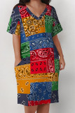 Multicolor Casual National Totem Print Pocket Contrast V Neck Printed Plus Size Dresses