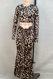 Camel Celebrities Leopard Print Patchwork Ruched O Neck Long Sleeve Two Pieces