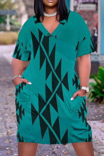 Lake Blue Casual Print Pocket Patchwork V Neck Straight Plus Size Dresses