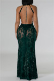 Black Sexy Solid Color See-Through Backless Halter Long Dresses