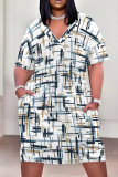Multicolor Casual Print Pocket Patchwork V Neck Straight Plus Size Dresses